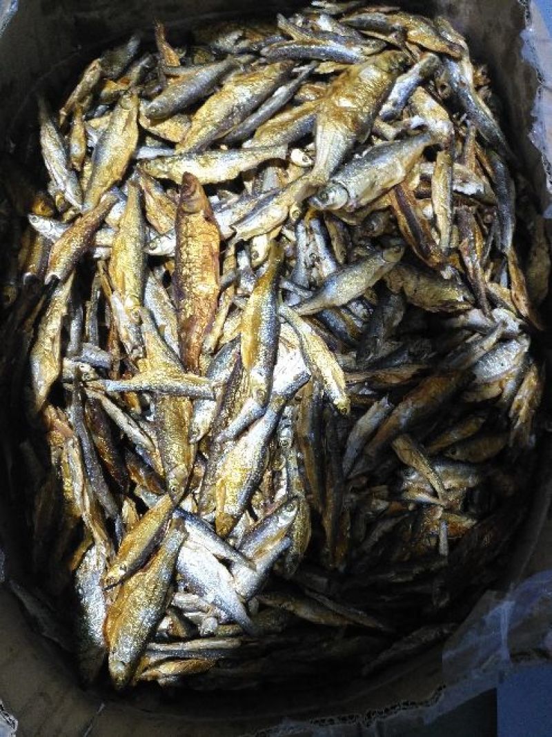 白条干小白条鱼干餐条