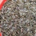 台湾泥鳅3~5cm人工养殖