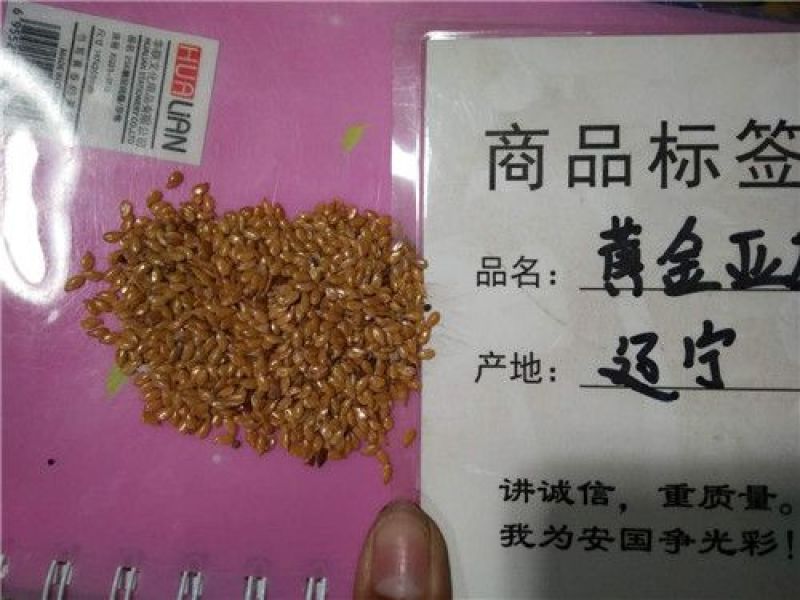 黄金亚麻籽