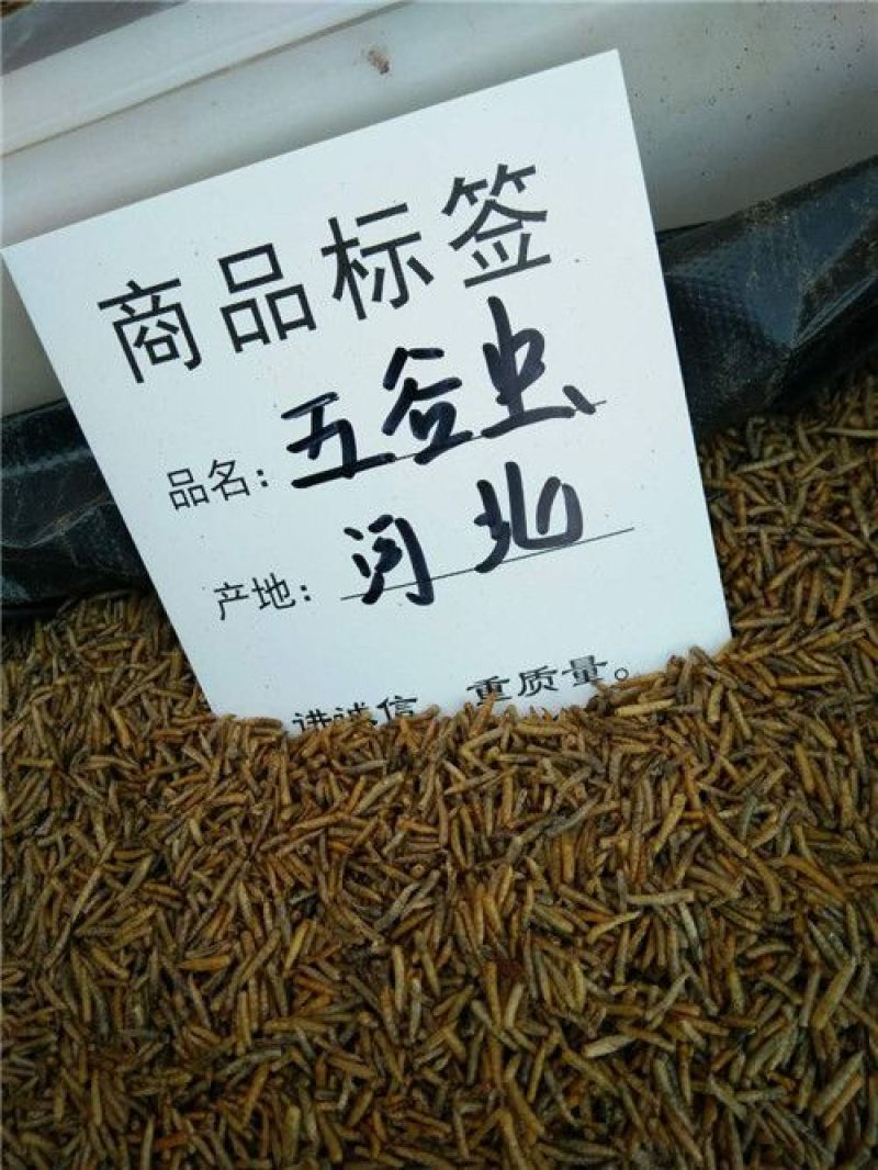 五谷虫
