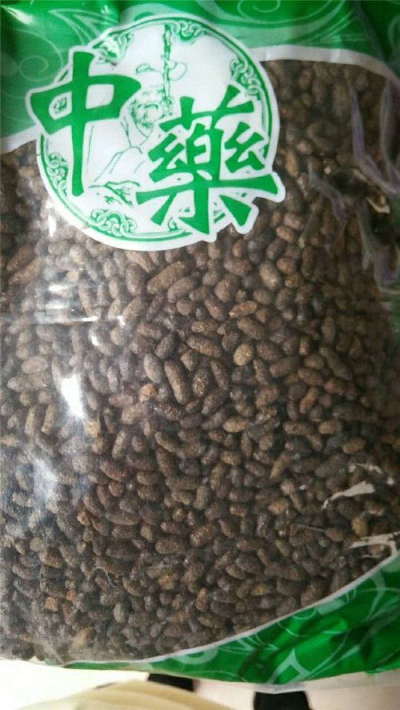五灵脂
