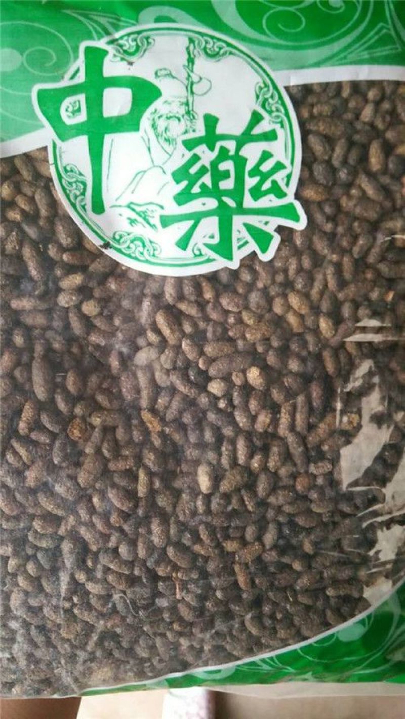 五灵脂
