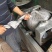 茶农直销铁观音2021新茶特级农家茶
