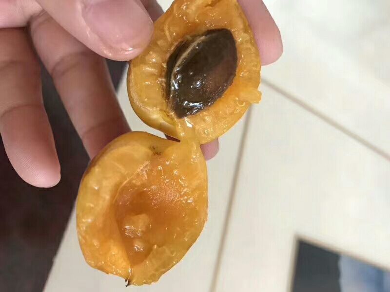 蜂蜜杏