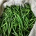 二荊条辣椒，菜辣子