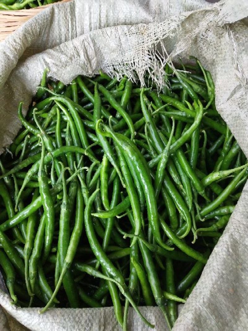 二荊条辣椒，菜辣子