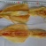 鱿鱼母超新鲜