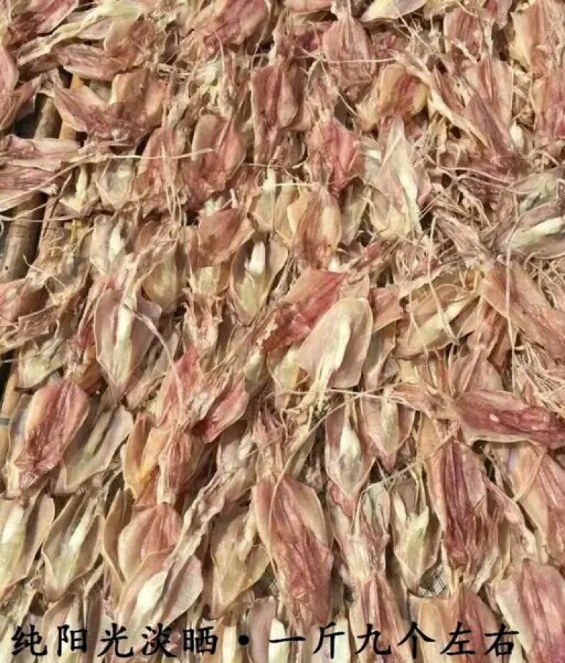 鱿鱼母超新鲜