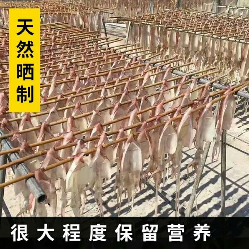 鱿鱼母超新鲜