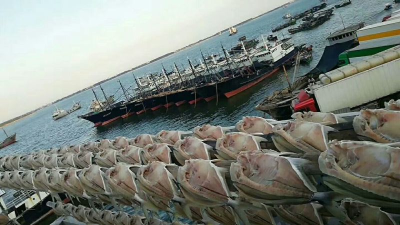 红鱼干