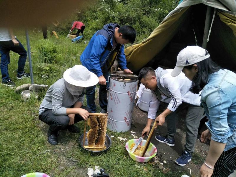 正中黑水中蜂蜜，欧盟有机认证