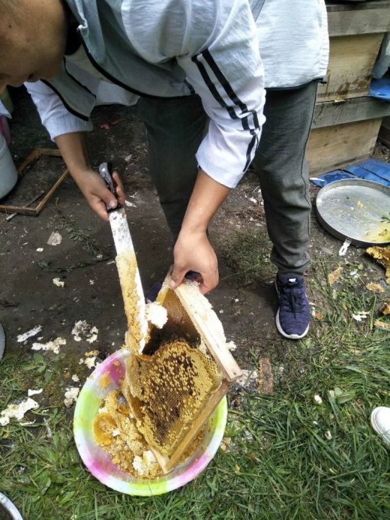 正中黑水中蜂蜜，欧盟有机认证