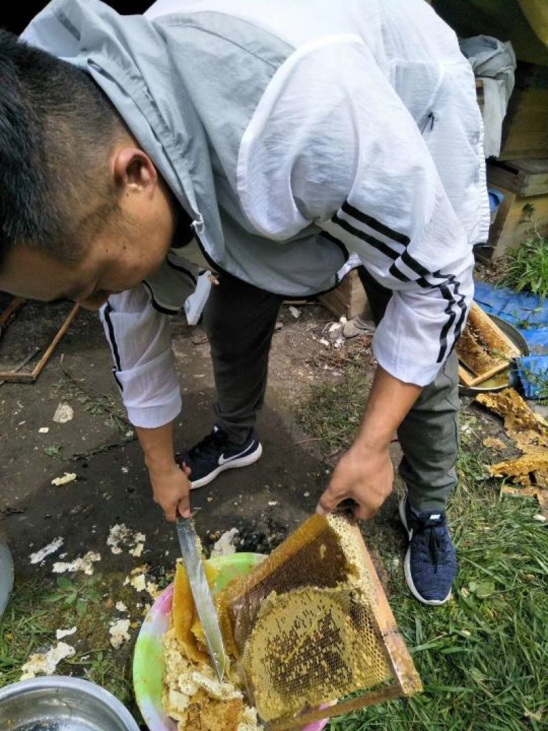 正中黑水中蜂蜜，欧盟有机认证