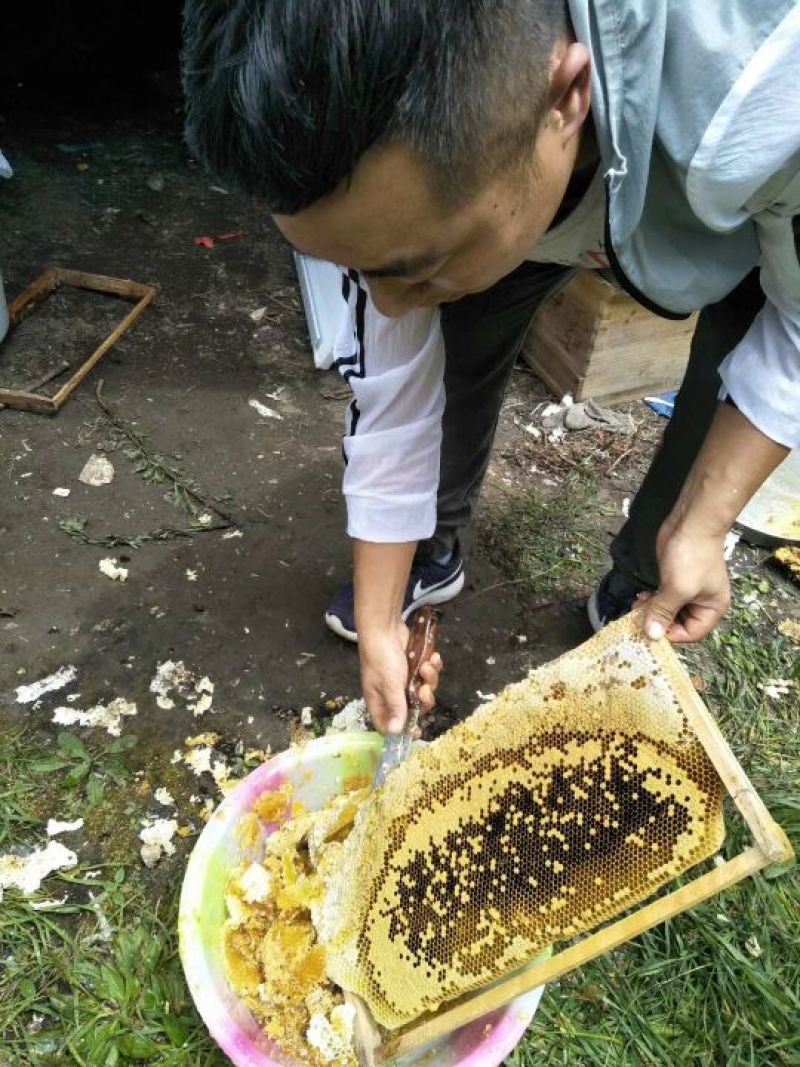 正中黑水中蜂蜜，欧盟有机认证