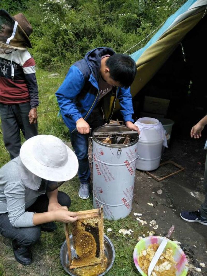 正中黑水中蜂蜜，欧盟有机认证