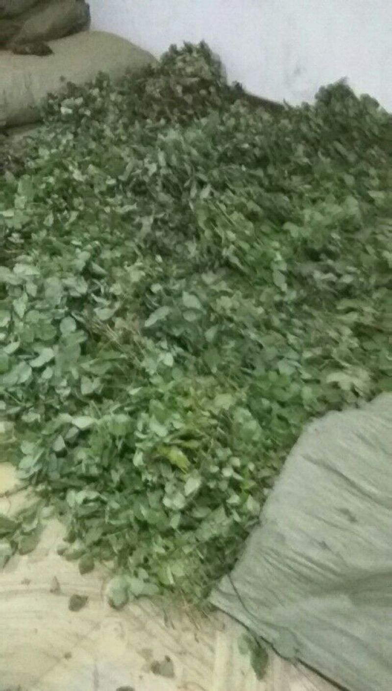 产地直销，陕西淫洋霍，杂质少，含量有保证
