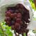 自家种植的克瑞森葡萄，面积7亩，颜色好，