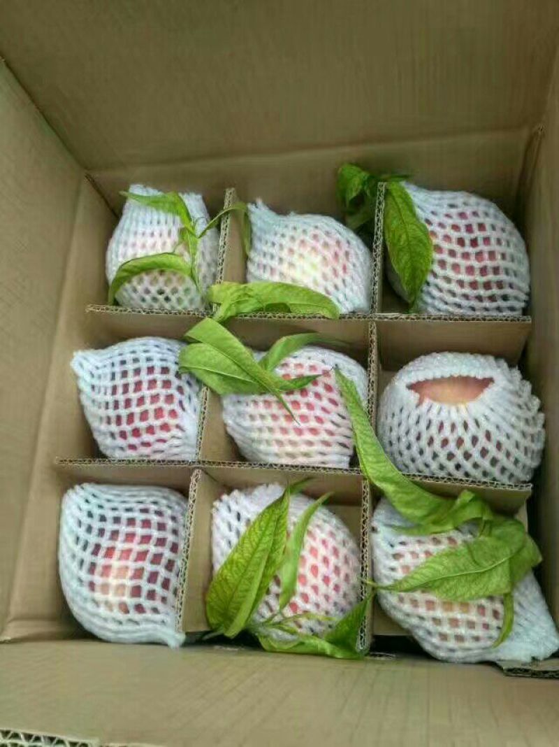 大量上市的桃子