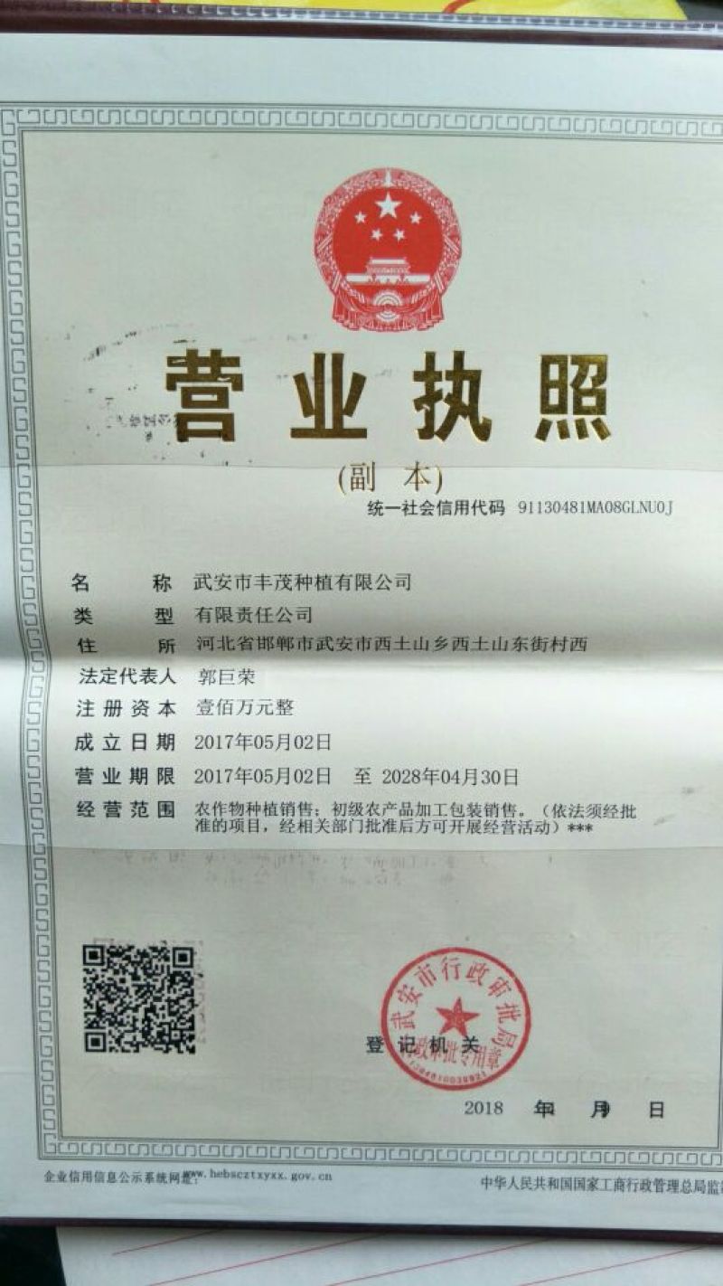 优质纯红薯粉芡.粉条粉皮