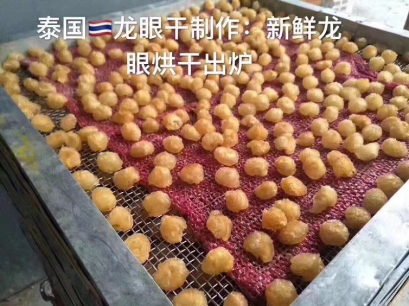 桂圆散装