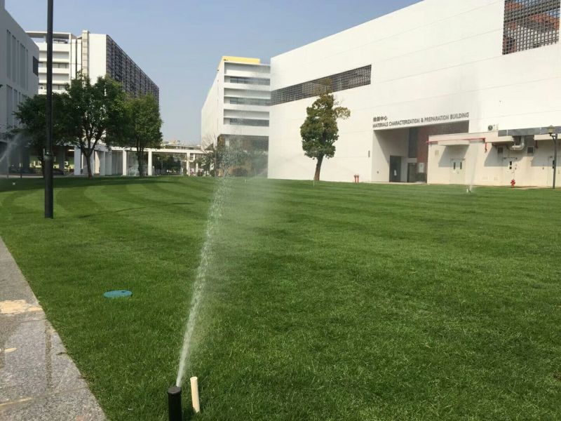 草皮不多了欲购从速