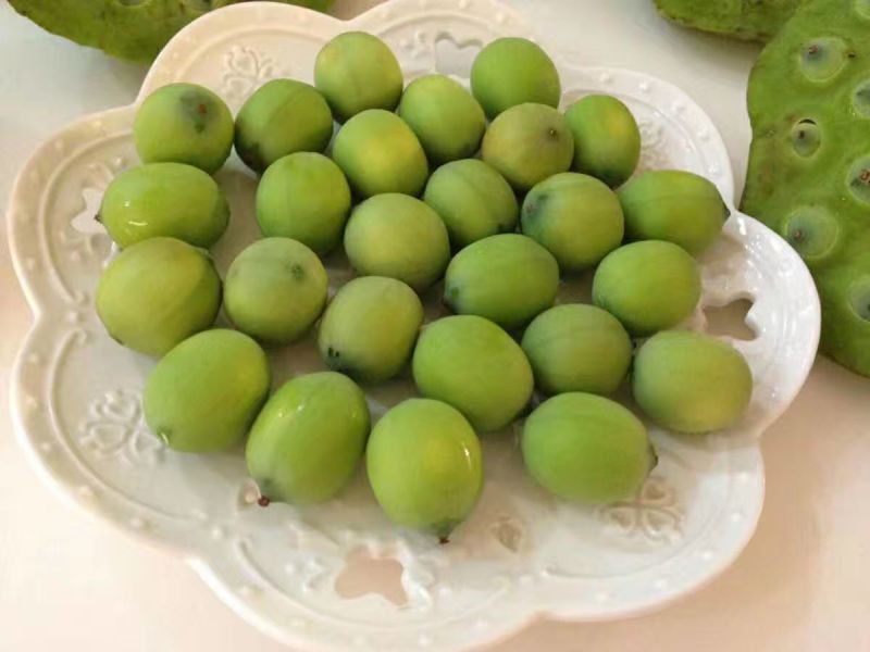 干莲子