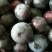 蓝莓鲜果，蓝莓，