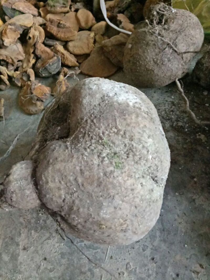 金盆