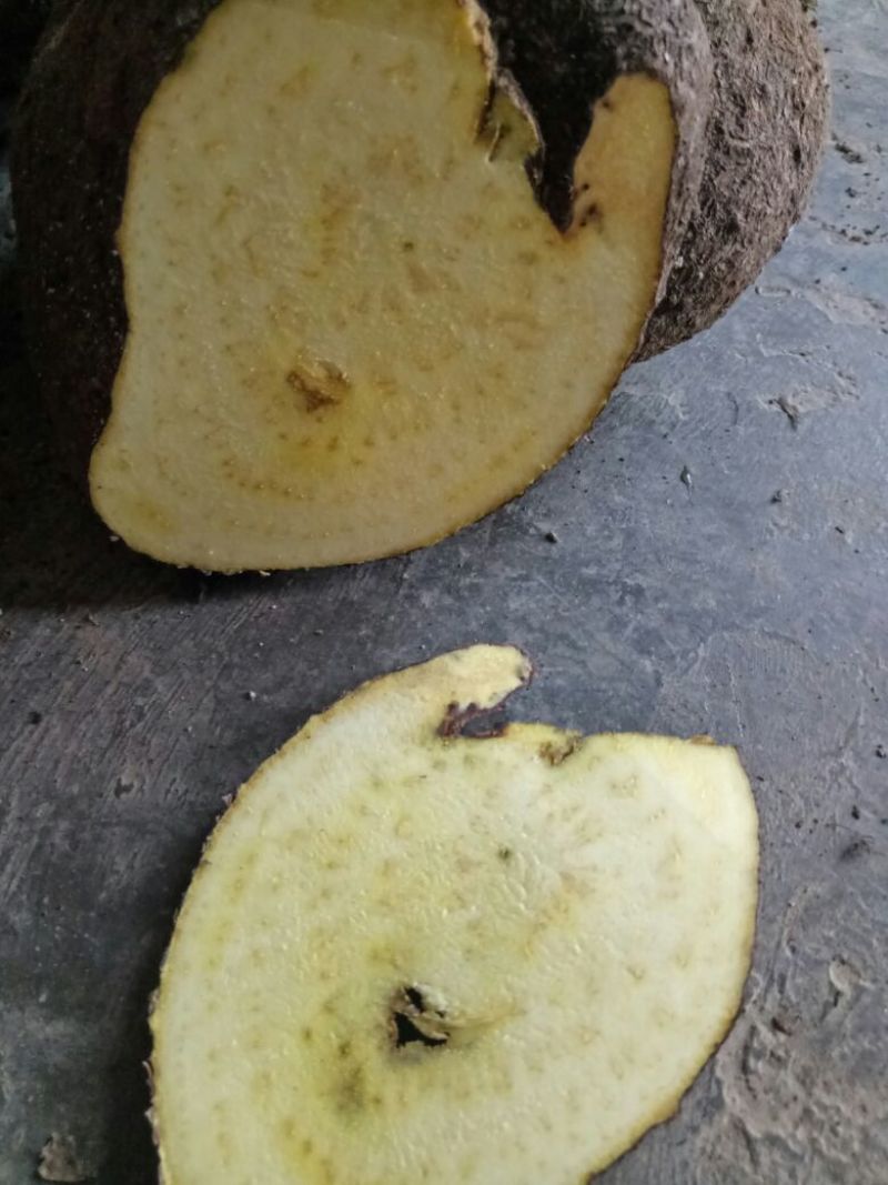 金盆