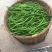 薄皮二荆条辣椒