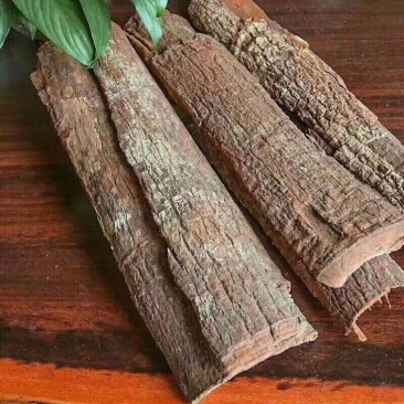 卡宾达树皮
