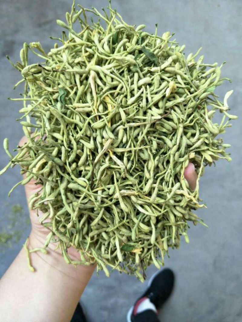 金银花色青花