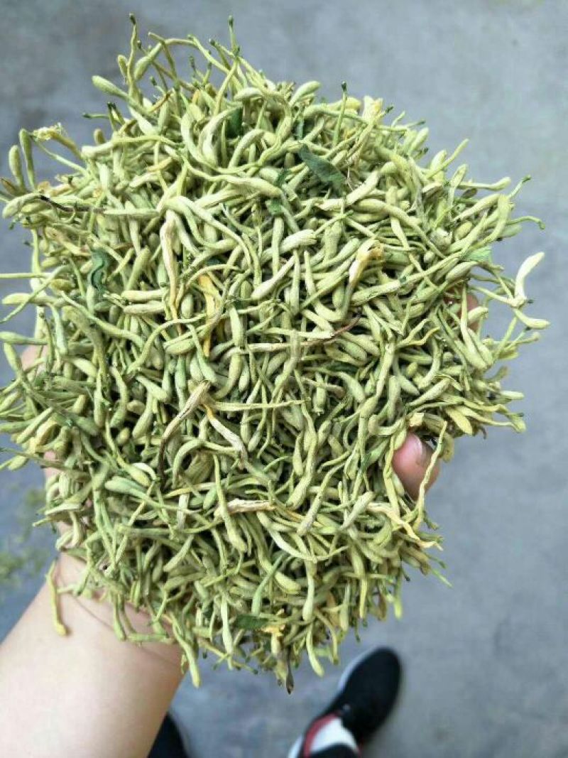 金银花色青花