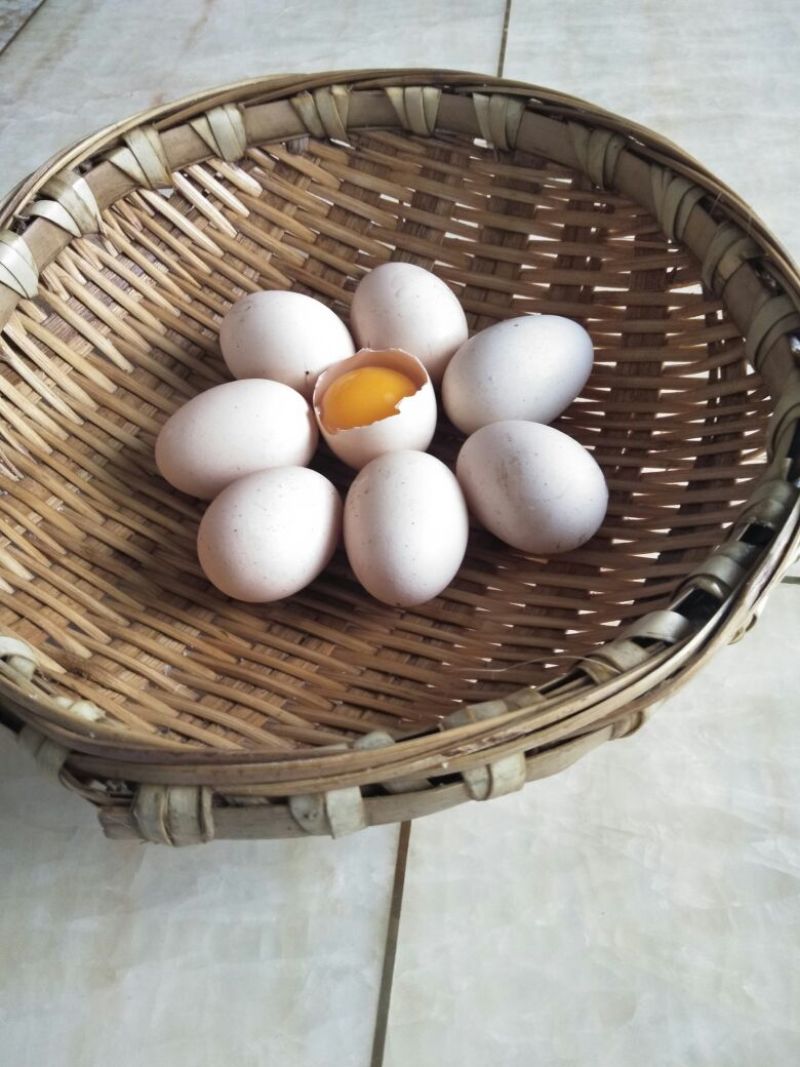 自家养殖无饲料鸡蛋
