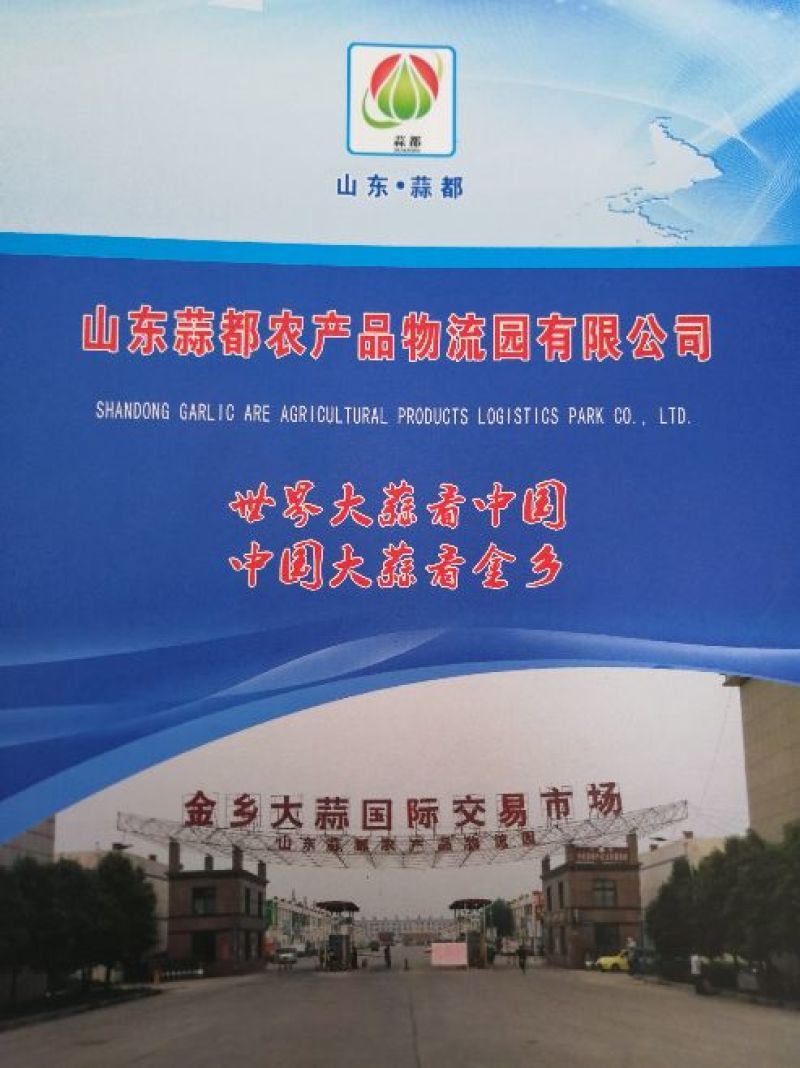 山东金乡大蒜太空大蒜，常年出售产地储存，代购，行情分析