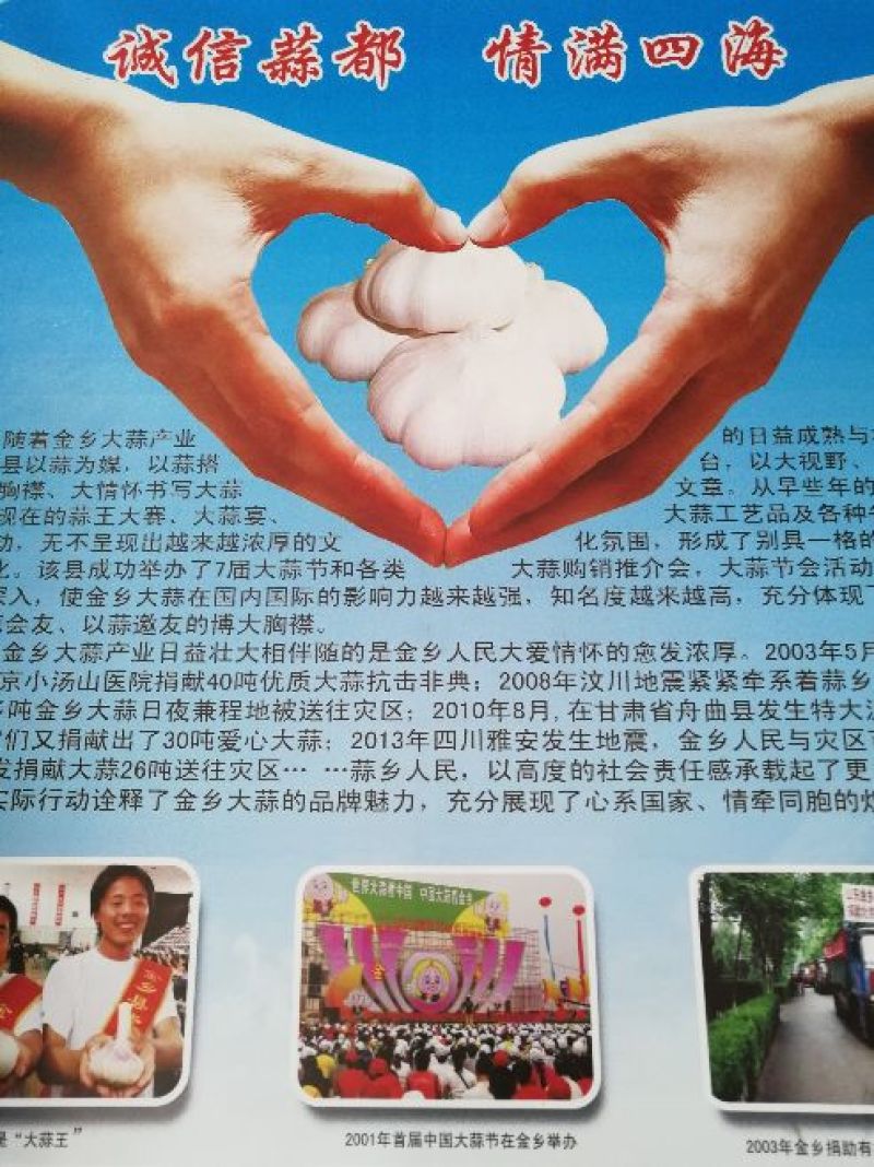 山东金乡大蒜太空大蒜，常年出售产地储存，代购，行情分析