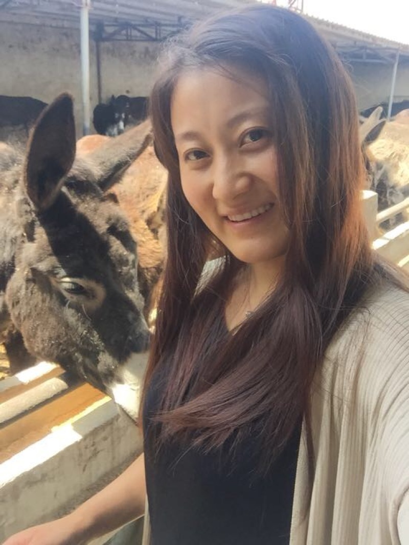 驴肉鲜货