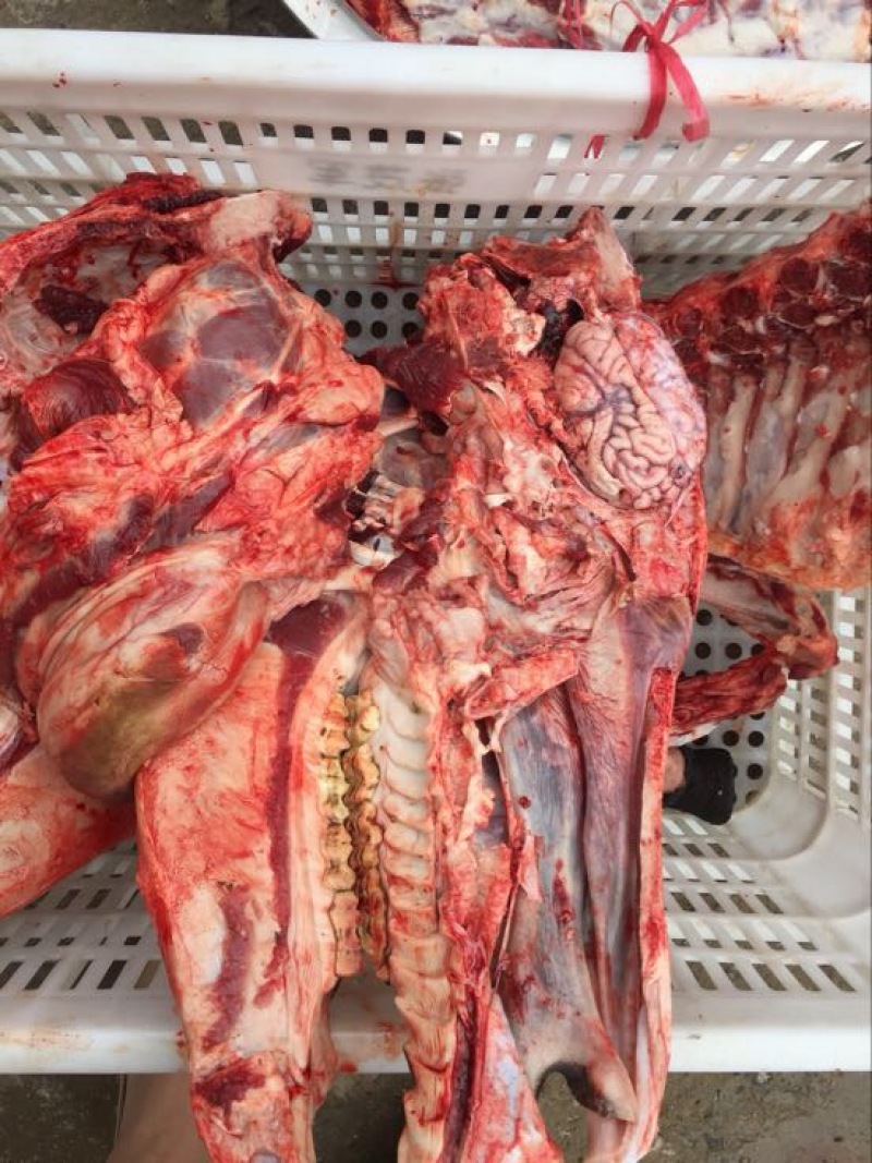 驴肉鲜货