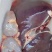 驴肉鲜货