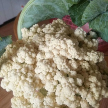 河北永年蔬菜大市场。各种蔬菜大量上市