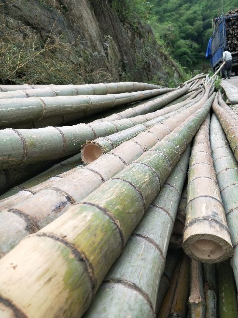 产地毛竹，
