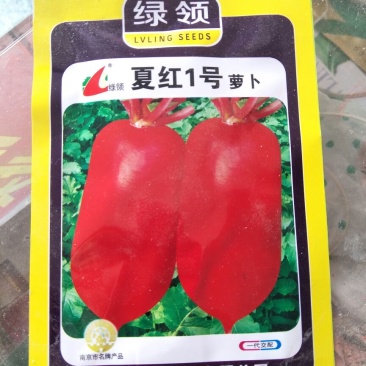 萝卜