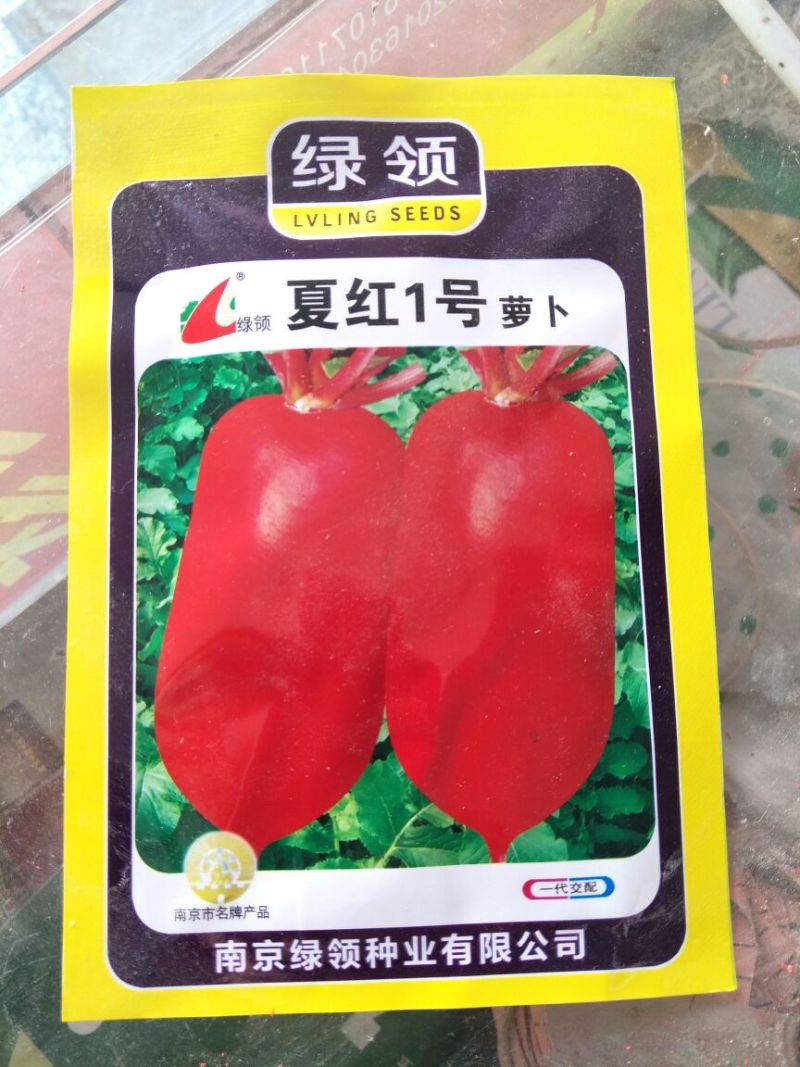 萝卜