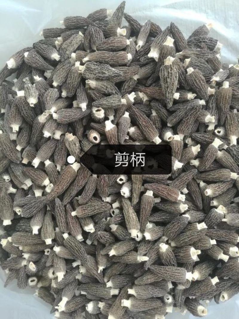 羊肚菌精品货