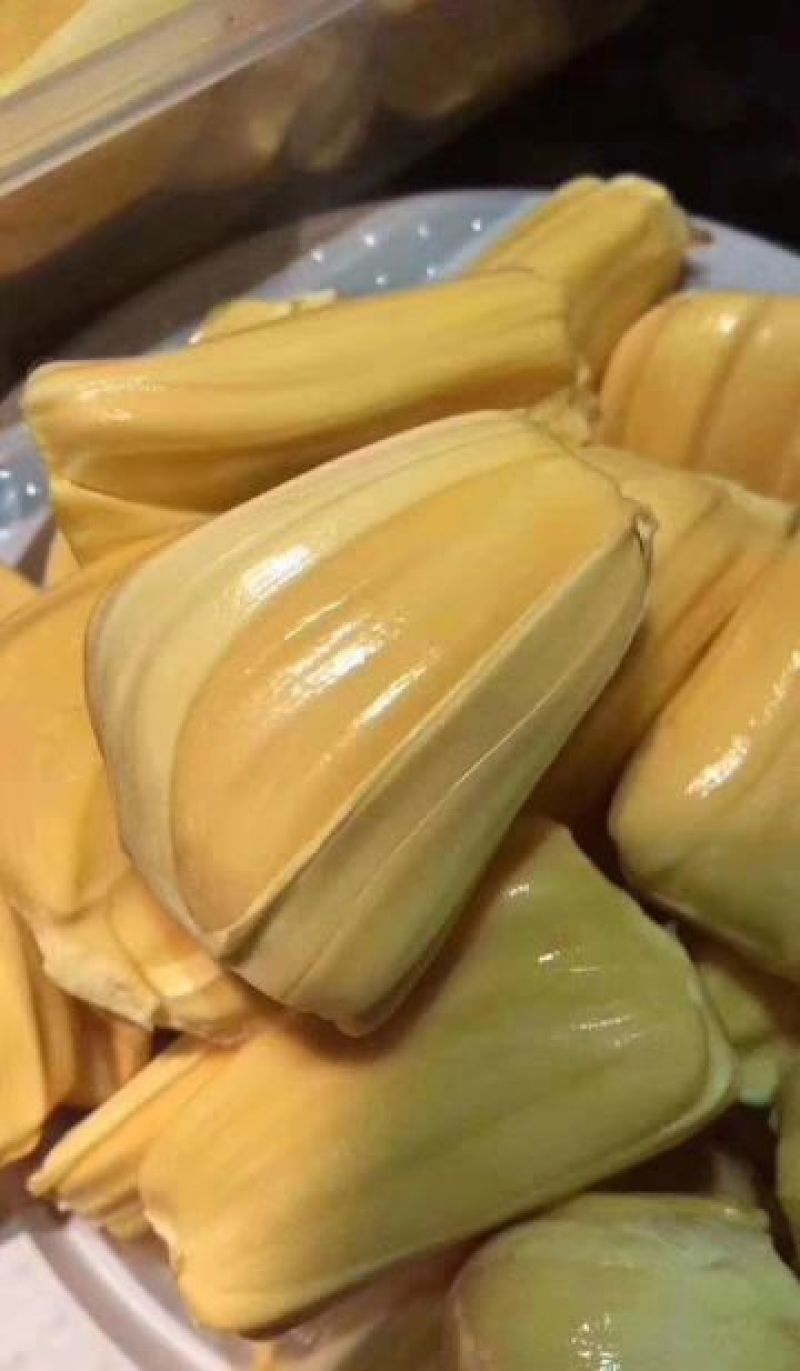 菠萝蜜