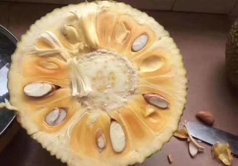 菠萝蜜