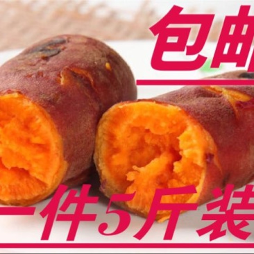 福建六鳌红薯西瓜红,5斤装,3两至1.5斤,商品薯……