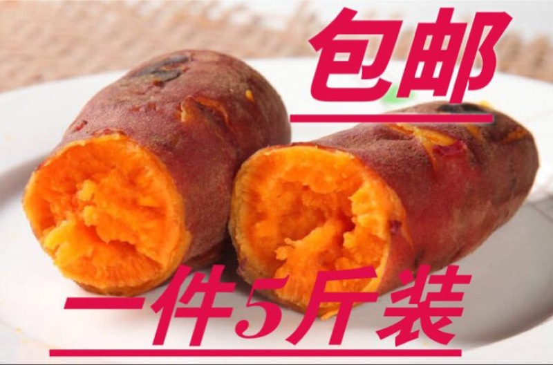 福建六鳌红薯西瓜红，5斤装，3两至1.5斤，商品薯……