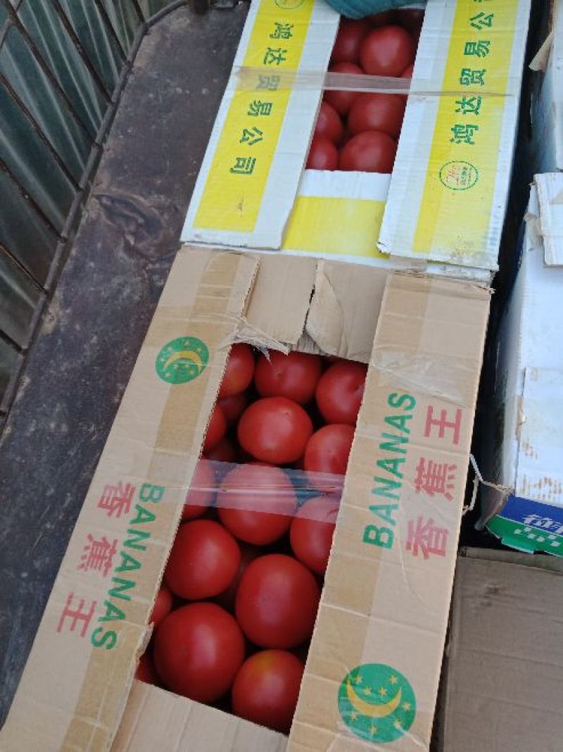硬粉西红柿