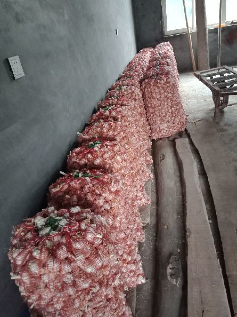 蒜农直供优质脱水大蒜，蒜米料500吨